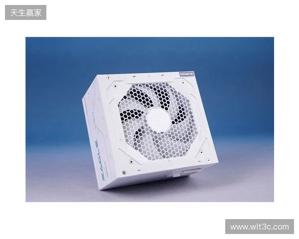 黑白双鹰，白金降临：技嘉猎鹰 冰猎鹰白金电源4月27日开售